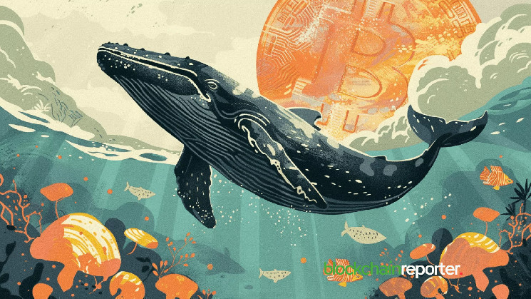 Whales Continue to Accumulate Bitcoin, 1,910 $BTC Withdrawn in 24 Hours