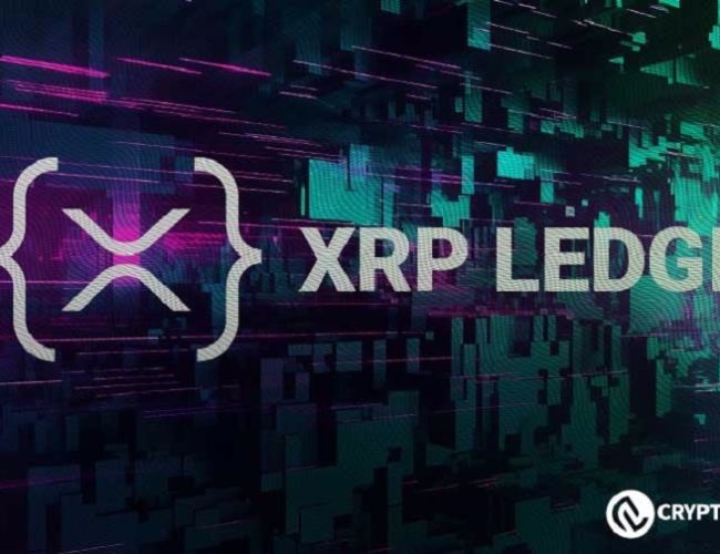 XRPL Price Oracle Launch Enhances Institutional DeFi Capabilities on XRP Ledger