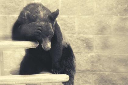 Ethereum Bear Liquidated for $23M as ETH Eyes $3K, BTC Notches New ATH