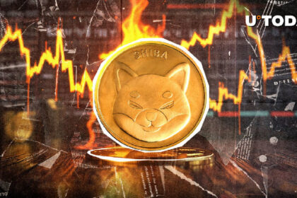 0 Shiba Inu in 24 Hours, What's Happening?