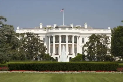 Bitcoin in "election mode": volatility soars