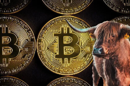 Another Company Announces Bitcoin Acquisition Plan After MicroStrategy