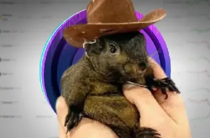 Trader Buys Peanut inspired PNUT in $17, Sees 12000x Profit