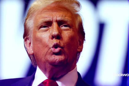 Trump Media shares ride post-election, potential crypto acquisition wave 