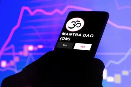 What expectations are there for Mantra (OM), the cryptocurrency that surprised in 2024?