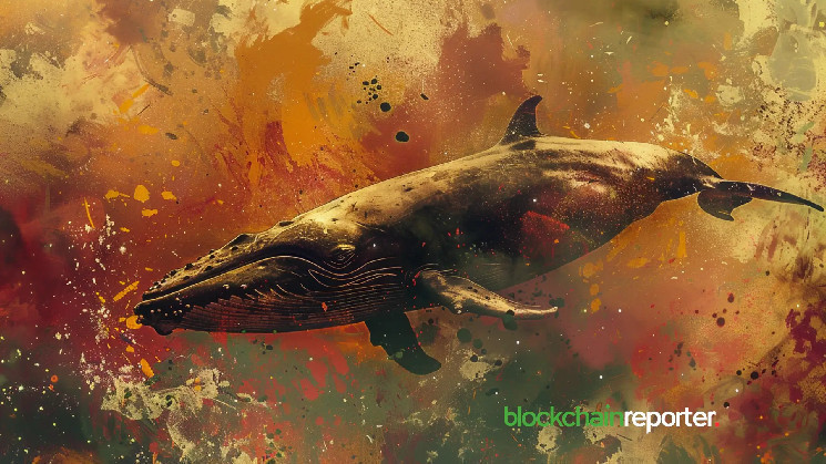 A Crypto Whale Scoops Up $20M in Ethereum After the Price Drop