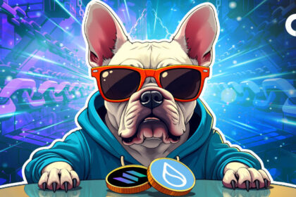 Memecoins & Scalability Challenge Solana