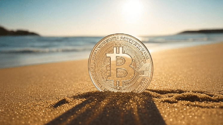 Microbt Launches New Whatsminer Bitcoin Miners in Abu Dhabi