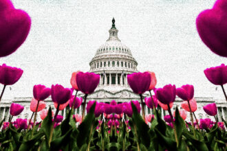 U.S. Added 227K Jobs in November, Topping Estimates for 200K