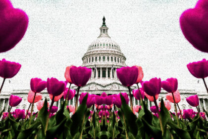 U.S. Added 227K Jobs in November, Topping Estimates for 200K