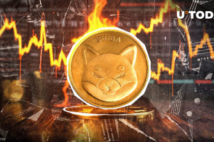 20,035,968 SHIB Torched in 24 Hours – What's Going On?