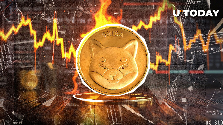 20,035,968 SHIB Torched in 24 Hours – What's Going On?