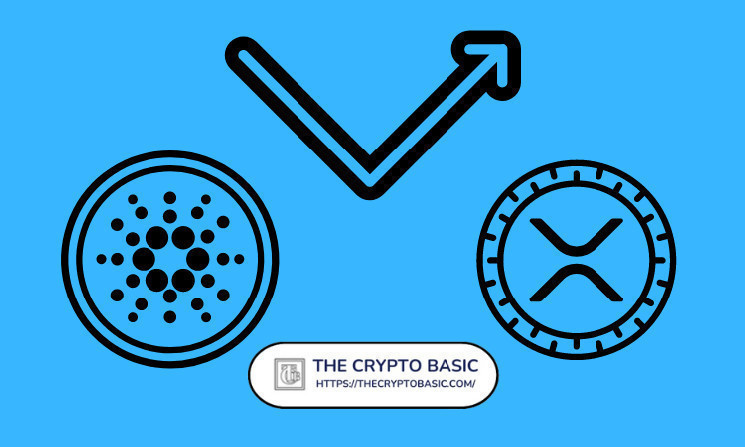 Messari Co-founder Blasts XRP and Cardano Communities as Bot Groups