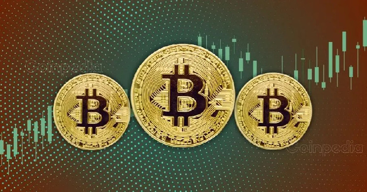 Nano Labs Boosts Bitcoin Holdings To 360 BTC Worth $36.22 Million