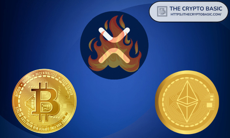 Bitcoin, XRP, and Ethereum See Massive Two-Year Growth in Non-Empty Wallets