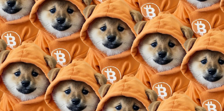 Baby Doge and Neiro Meme Coins Surge as Bitcoin DOG Token Hits All-Time High
