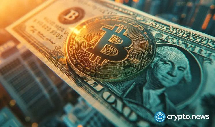 Digital asset investors embrace a bullish optimism