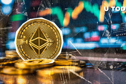 Ethereum Network Gained $1.1 Billion Seven Days in 2025