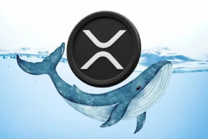 XRP network sees surge in whale transactions