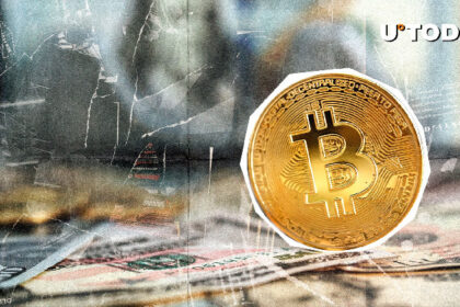 $903 Million Bitcoin Transferred in 24 Hours; What's Behind?