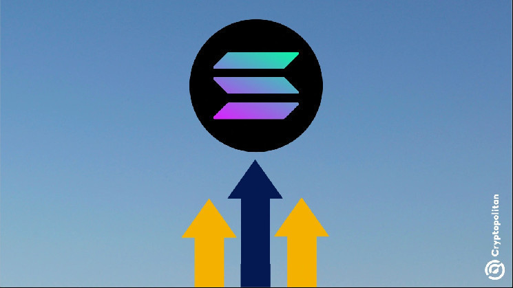 Solana apps capture 73.3% of all crypto app earnings in a single day