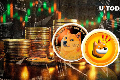 Dogecoin (DOGE) Second Best Performer in Top 100, Bonk (BONK) Follows