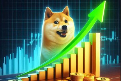 "How are you going to bet against Doge right now?"