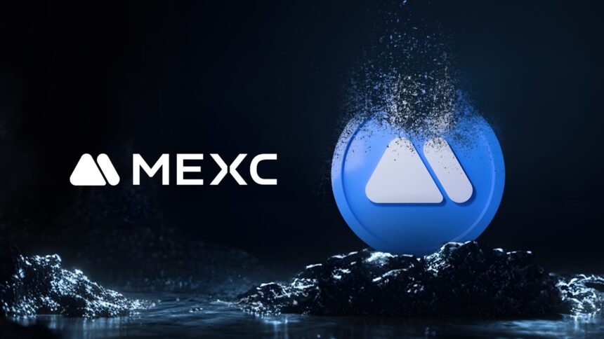 MEXC burns MX tokens for over $12 million in Q4 2024