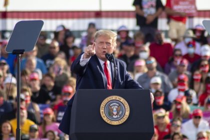 Trump launches his own memecoin and breaks the market