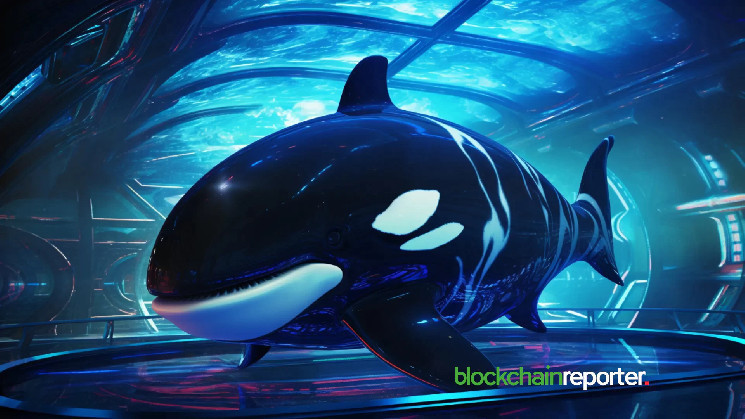 Millionaire Crypto Whale Incurs $63.4K Loss on $SOL After Buying Shitcoin Mistakenly