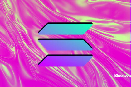 We surveyed 42 Solana founders. Here’s what they said.