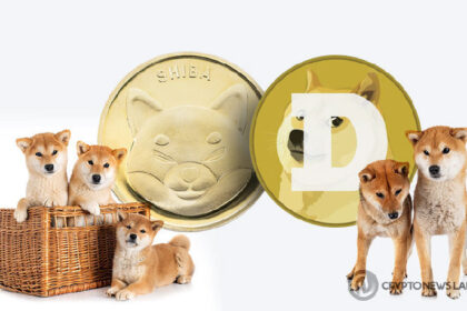 Support or Hype? These Memecoins Are Testing Critical Price Levels