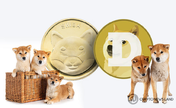 Support or Hype? These Memecoins Are Testing Critical Price Levels