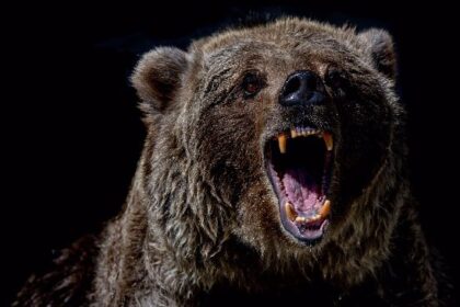 Bitcoin Could Drop to $86K as Demand, Network Activity Falter: CryptoQuant