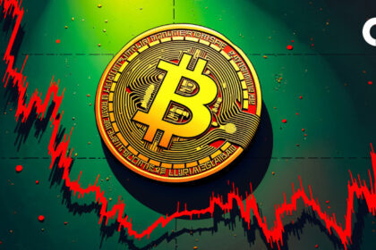 Bitcoin’s OTC Exodus and the Bull Market Debate