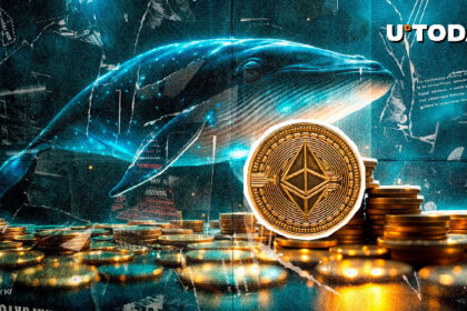 Over 4,000 Wallets Now Own at Least 10,000 Ethereum, Whales Buying Dip?