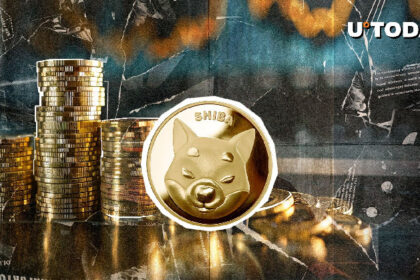 20,423,263 SHIB on Go, What’s Happening?