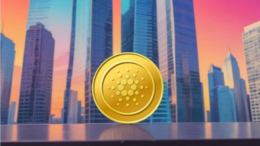 How to Make a Budget-friendly Wellness Plan?