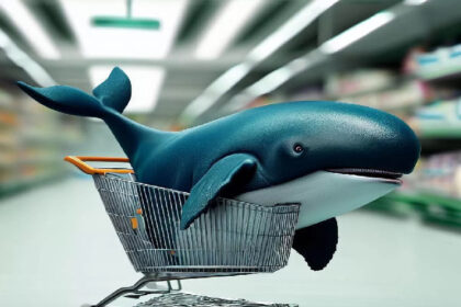 Here’s The List Of Altcoins That Have Gained The Most Interest From Whales In The Last One Week