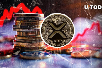 XRP Network Sees Massive 50% Decline As 101,081 Active Addresses Vanish