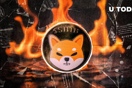 58,303,050 SHIB Burned as Shiba Inu Registers Impressive Weekly Gains