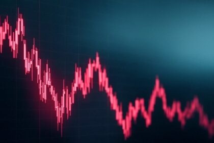 Keys to understand the fallcoin price drop