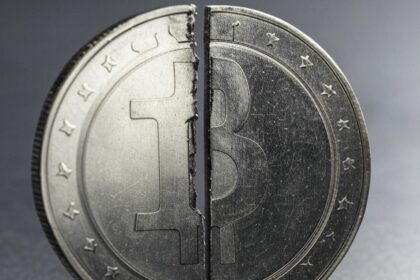 "Memecoins are hyper-shitcoinization of cryptocurrencies"