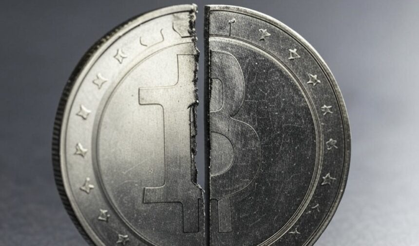 "Memecoins are hyper-shitcoinization of cryptocurrencies"