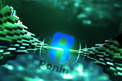 Ronin, the Axie Infinity network, was released with open source