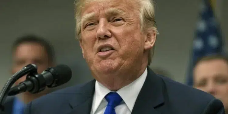 El plan de Trump para un fondo soberano toma forma con una orden ejecutiva. Fuente: Grok.