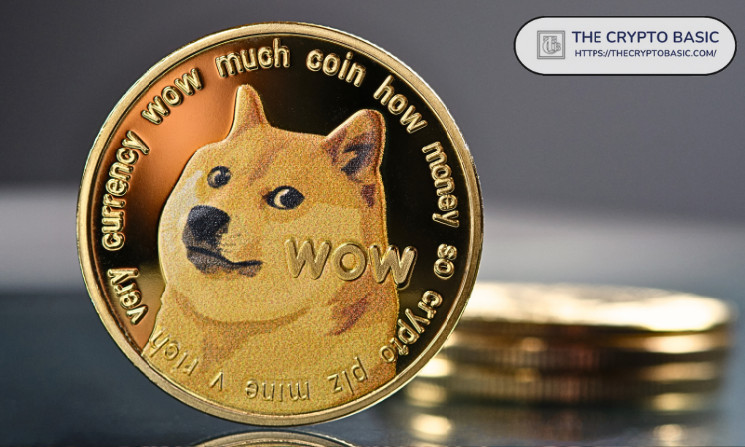 Who are the Top Holders of DOGE?