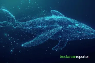 Whale Moves $2.5 Million KAITO Tokens For Staking, Is KAITO Bull Run Coming?