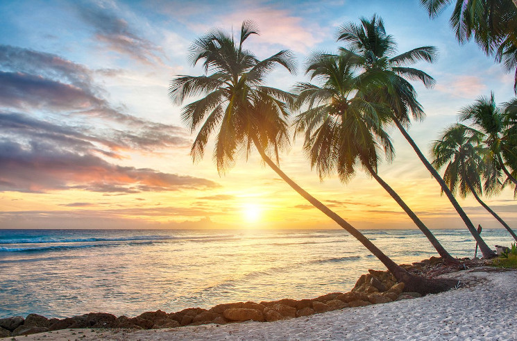 Former Bittrex Execs Raise $40M in Bitcoin to Back Barbados-Licensed Insurance Firm