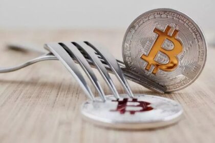 US urged to sell government's 1.4 billion lbs of cheese reserves to buy Bitcoin